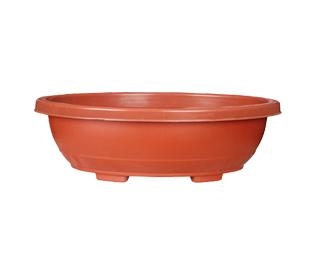 Bonsia ovel Pot