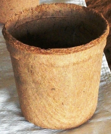 6.5 Large coco pot