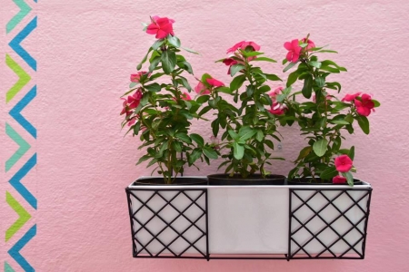 WROUGHT IRON POT